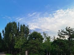 -北京西山国家森林公园