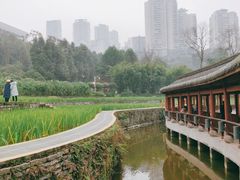 -龙头寺公园