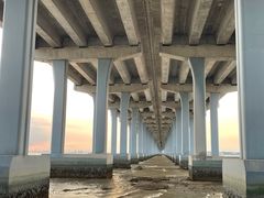 -宝安西湾红树林湿地公园