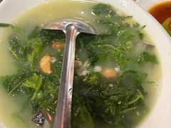 -东鸽皇(奥园·中环广场店)