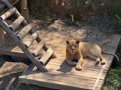 -石家庄市动物园