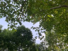 -静安公园(静安寺街道)