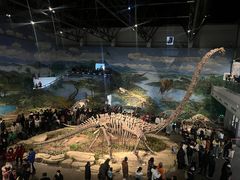 -自贡恐龙博物馆