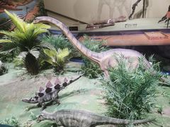 -柳州白莲洞洞穴科学博物馆