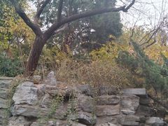 -郭守敬纪念馆