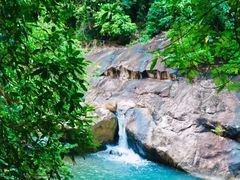 -广州白江湖森林公园