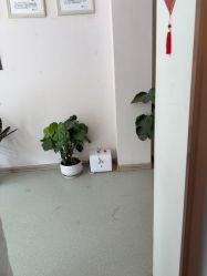-Dr.林醫生产后修复·配方产康店(南京大厂店)