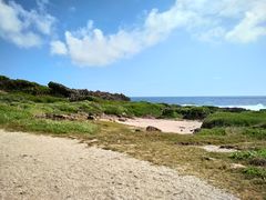 -龙坑生态保护区