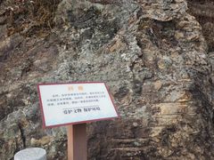 -羚羊峡古栈道森林公园