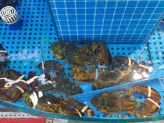 -晶渔坊·海鲜私房菜(东夷小镇店)
