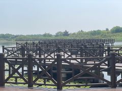 -上海海湾国家森林公园