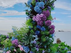 -上海滨江森林公园
