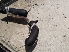 -前小桔亲子创意农场·草莓采摘·露营烧烤