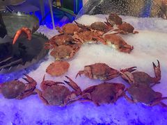 -棕榈阁·巴西烤肉海鲜自助餐厅(中州皇冠假日酒店)