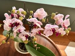 -南堂馆·新川菜(春熙路店)