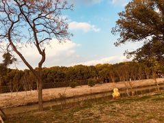 -嘉北郊野公园
