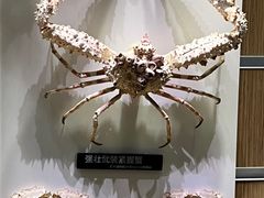 -海合安青岛极地海洋公园