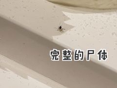 -迦南·甜品蛋糕(传媒店)