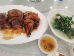 -姚林轩