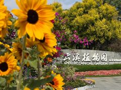 -云溪植物园