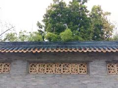 -碧江金楼