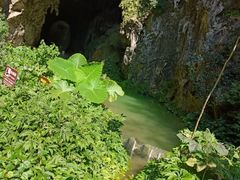 -巴马洞天福地景区