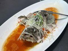 -曼格纳·曼芯馆(杨浦店)