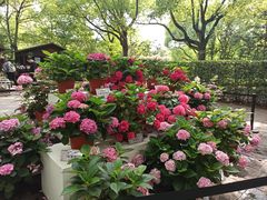 -共青国家森林公园-售票处