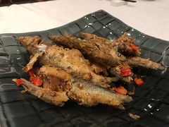 溪涧小河鱼-三清山希尔顿度假酒店·三清轩中餐厅