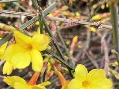 -北京西山国家森林公园