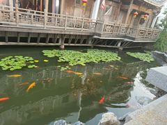 -观唐（国际）度假村温泉