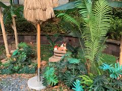 -天目湖涵田半山温泉