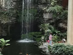 -白天鹅宾馆-宏图府餐厅