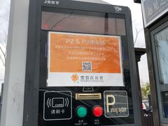 -迪士尼乐园停车场