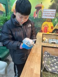 -神奇动物撸宠馆·羊驼·小浣熊·异宠(豫园店)