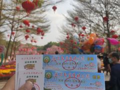 -广东茂名森林公园