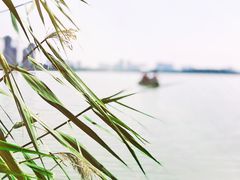 -阅海欢乐岛
