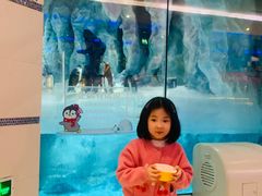 -帝企鹅自助餐厅•儿童岛•真企鹅(长隆企鹅酒店)
