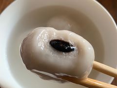 -源宗盛粽子汤圆