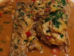 -全乐鱼馆·淳牌有机鱼直营店
