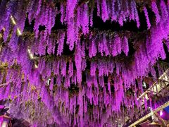 -婺源梦里老家大型山水实景演出