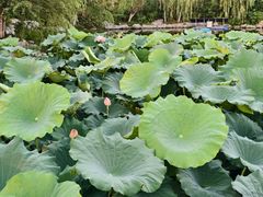 -云龙湖旅游景区