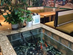 -新澳港式茶餐厅(余姚路店)