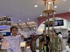 -喵园·猫主题咖啡厅·撸猫·猫咖(国贸店)