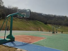 -羊山湖公园
