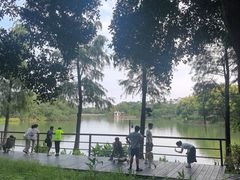 -海珠湖公园
