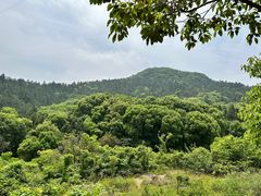 -灵岩山风景区