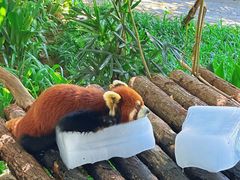 -常州淹城野生动物世界