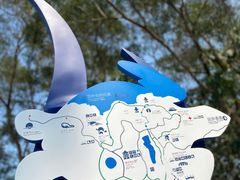 -广东惠东海龟国家级自然保护区