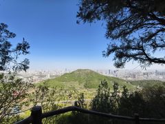 -佛慧山